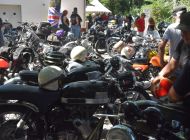 Heuwiese-2023103